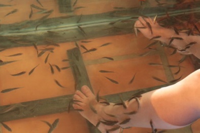 Ẩn họa massage chân bằng cá, tẩy da chết bằng lươn